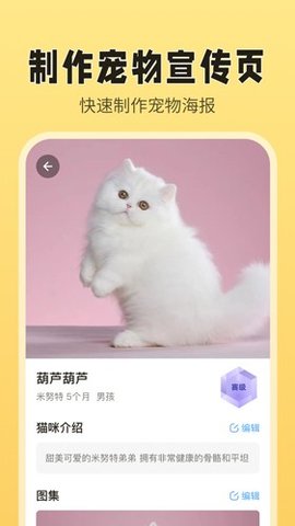 猫老板app 2.6.5 安卓版1