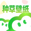 种草壁纸APP 1.0.0 安卓版