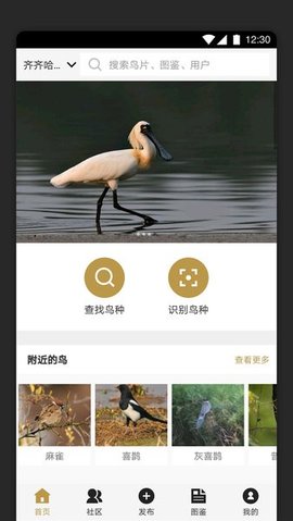 识鸟家App 1.4 安卓版2