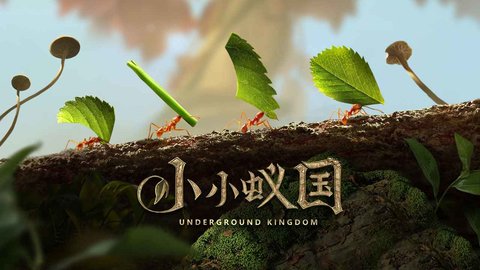 小小蚁国中文版 1.51.0 安卓版1